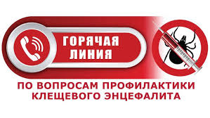 горячая линия.jpg